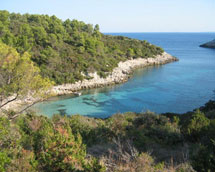 Zavalatica, Korčula