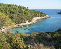 Zavalatica, Korcula