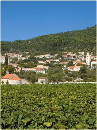 Cara, isola di Korcula, Croazia